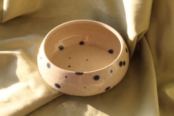 Blueberries bowl